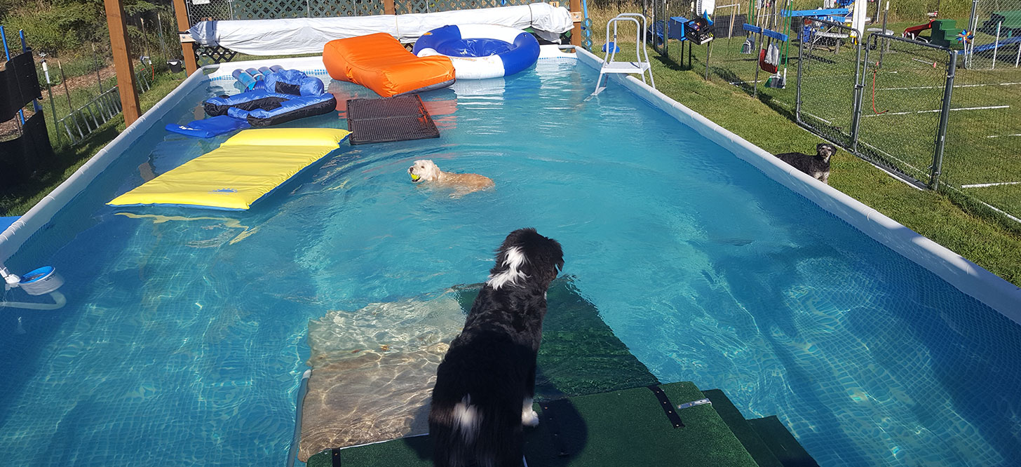 Dog aquatic center near hot sale me